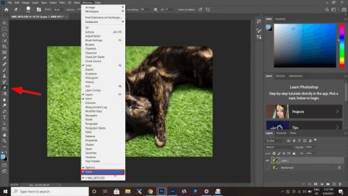 جدا کردن پس زمینه در فتوشاپ